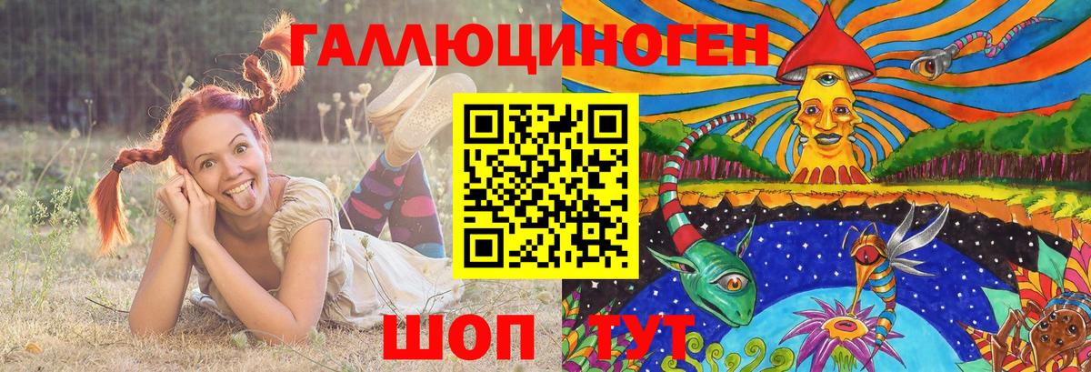 Галлюциногенные грибы мухоморы Димитровград
