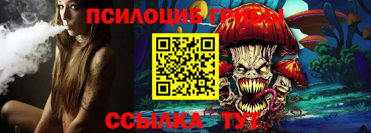 Димитровград  Псилоцибиновые грибы GOLDEN TEACHER  наркошоп  Вход с VPN 