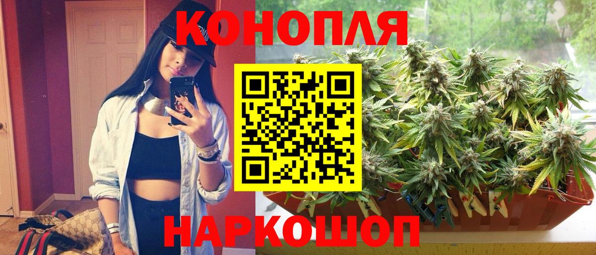 Бошки Шишки тримм Димитровград